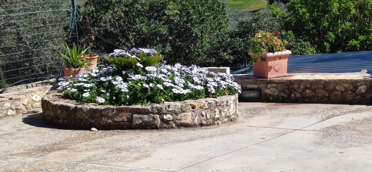 Home A&G Contrada Fumarola Ostuni Exterior photo